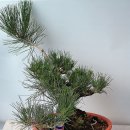 방죽골농장 이미지