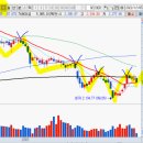 피앤씨코리아 이미지