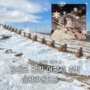 손안에 작은 꽃밭 | [강원도 대관령 여행] 평창 가볼만한 곳 "삼양라운드힐" 내돈내산 후기 (주차, 입장료 꿀팁)