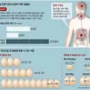 양주에서도 살충제 사용 계란이 발견되어 전량 회수조치 및 폐기처리하였습니다. 이미지