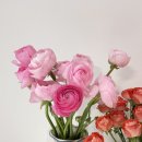 송현농장 이미지