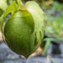 국일여관 이미지