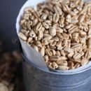 꽃피는산꼴 이미지