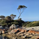 가나목장 이미지