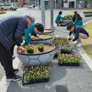 내이동행정복지센터 이미지