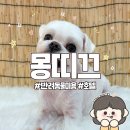 몽띠끄 이미지