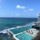 주식회사 짐플레이스 평내점 | 호주 시드니 공항에서 시내 버스 + 기차 vs 본다이비치 포함 공항픽업 투어