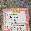 제로 웨스트 친환경 수세미 만들기 | 친환경 생분해 가능한 국산 천연수세미 미세플라스틱zero