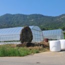 산정마을 농로 이미지