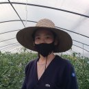 해든농장 이미지