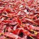 한근농장 이미지