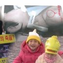 충주성심맹아원 이미지