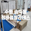 수원-0438 | [운동/건강] 수원 장안구 송죽동 필라테스 추천 및 효과 정바름필라테스