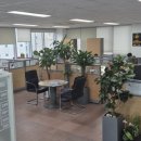 이미코리아 행정사사무소 이미지