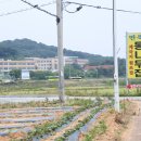 원조먹거리식당 이미지