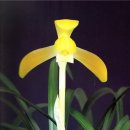 (주)금화 이미지