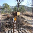 호랑산 둘레길 이미지