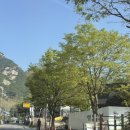 가야냉면 | [내돈내산] 은평구 진관동 맛집 가야밀냉면해물칼국수 찾아가는 길 및 솔직 후기 (재방문)