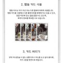 포토앤게임 | [광주광역시] 충장로놀거리 보드게임카페 홈즈앤루팡 내돈내산 후기