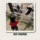 은아 | 여주 아이랑 가볼만한 곳 동물먹이주기와 피자만들기 등 체험 가능한 은아목장 후기