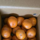 꿈을주는 사람님 카라향 도착 소식입니다 이미지