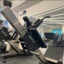 휘트니스 다온 이미지