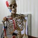 월드경희한의원 이미지