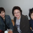 사조미가 이미지