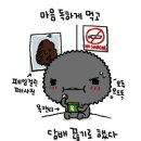 가다클리닉 이미지