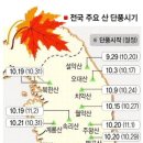 2010년도 지역별 가을단풍 시기 이미지