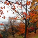 (주)히지노 이미지