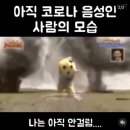 디올이비인후과의원 | 두둥 내가..?! 코로나 확진 1일차 일지 😷🦠