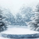 시민로457번길 | 번개처럼 빠르고 믿음 가는 용달이사, 번개 서비스의 모든 것