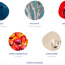 세이프앤워시