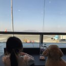 상주유통, 대원국수집 앞 | 🎉 “우리 가족 두 번째 해외여행✈️ 나트랑에서 맞이한 해피뉴이어!”