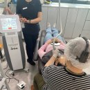 니와미즈 의원 이미지