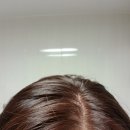 로이드밤진주대안점
