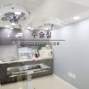 올스타동물의료센터 이미지