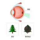 세타나 서울 이미지