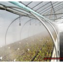 관수농장 이미지