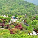 다락골줄무덤 주차장 이미지