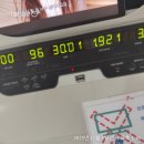 11월은 계획이 나를 피함