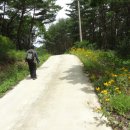 새덕산목장 이미지