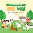 목장 | 🥛🍦 하동 체험 목장 해뜰목장 후기 🐄 아이·데이트 모두 추천 💛