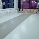 아담하개
