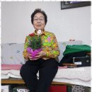 부모사랑재가요양센터 이미지