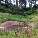 상모리-22 이미지