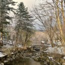 유명산목장 | 가평 유명산자연휴양림 연립동 숙소 보라매 숙박후기 +가평양떼목장 가평1박2일여행