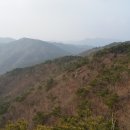 배치농장 티스토리