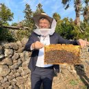 르만트럭코리아 이미지